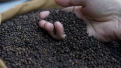भारत में इस्लाम के आने में क्या काली मिर्च की भी भूमिका थी?