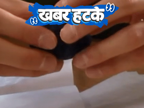 खबर हटके- अंडा खाते ही उम्र बढ़ने का दावा:भेड़िए से बचाने भेड़ को पहनाई कांटे वाली ड्रेस; ₹1.10 लाख के सिक्कों से बाइक खरीदी