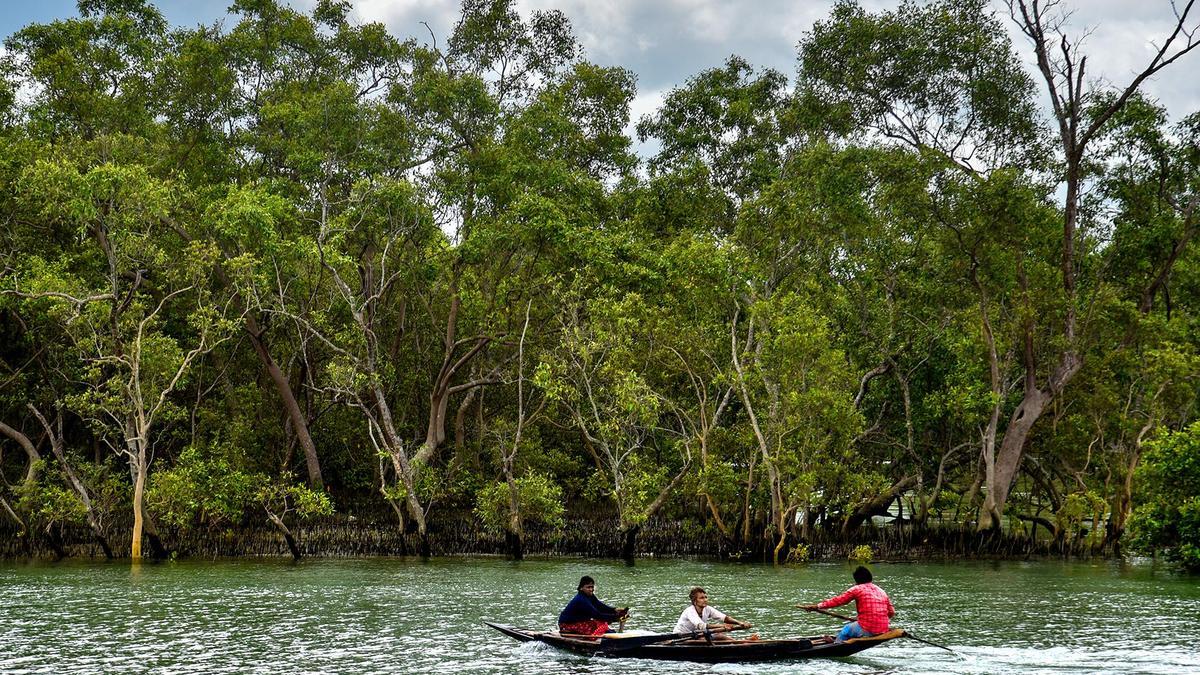 क्या बांग्लादेश सीमा पर पानी में सरीसृप रखने का बीएसएफ का विचार अच्छा है?