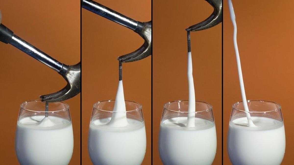 तेजी से बढ़ने वाला कॉर्नस्टार्च सख्त होने से पहले एक तरल की तरह काम करता है